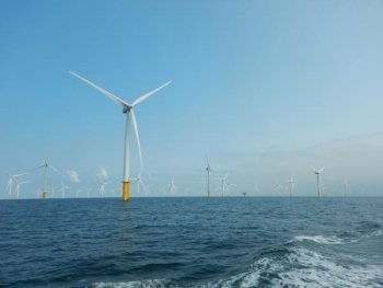 North Sea wind farms (c) RBINS
