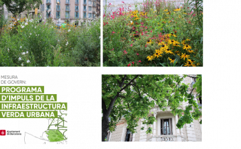 Renaturing Barcelona: various green typologies in the centre of the city. Bellow, on the left: Cover of the government measure “The Programme for Enhancing the Urban Green Infrastructure”. Photo captures: Corina Basnou.