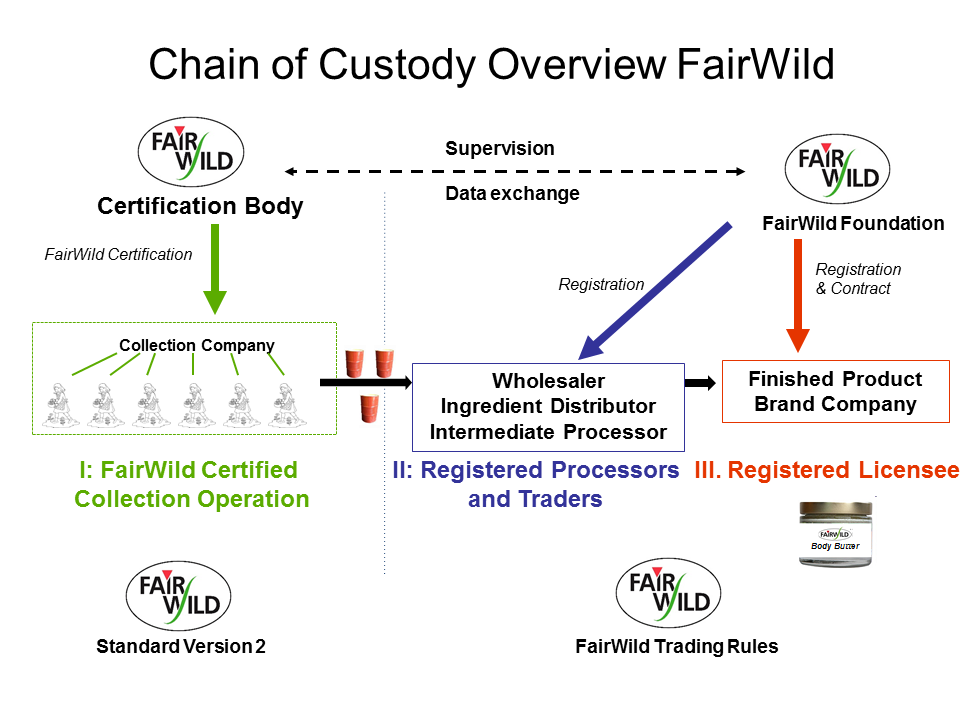 Chain of custody Overview FairWild. Source: https://www.fairwild.org/fairwild-certification