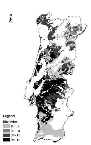 Site index predicted values within the distribution area of cork oak in Portugal