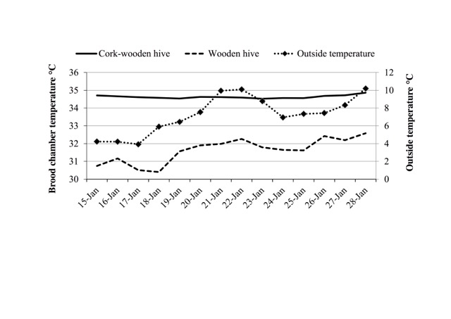 Comparison between daily variations of the environmental temperature and those inside the hives, made of wood and cork or wood only (I.Floris)