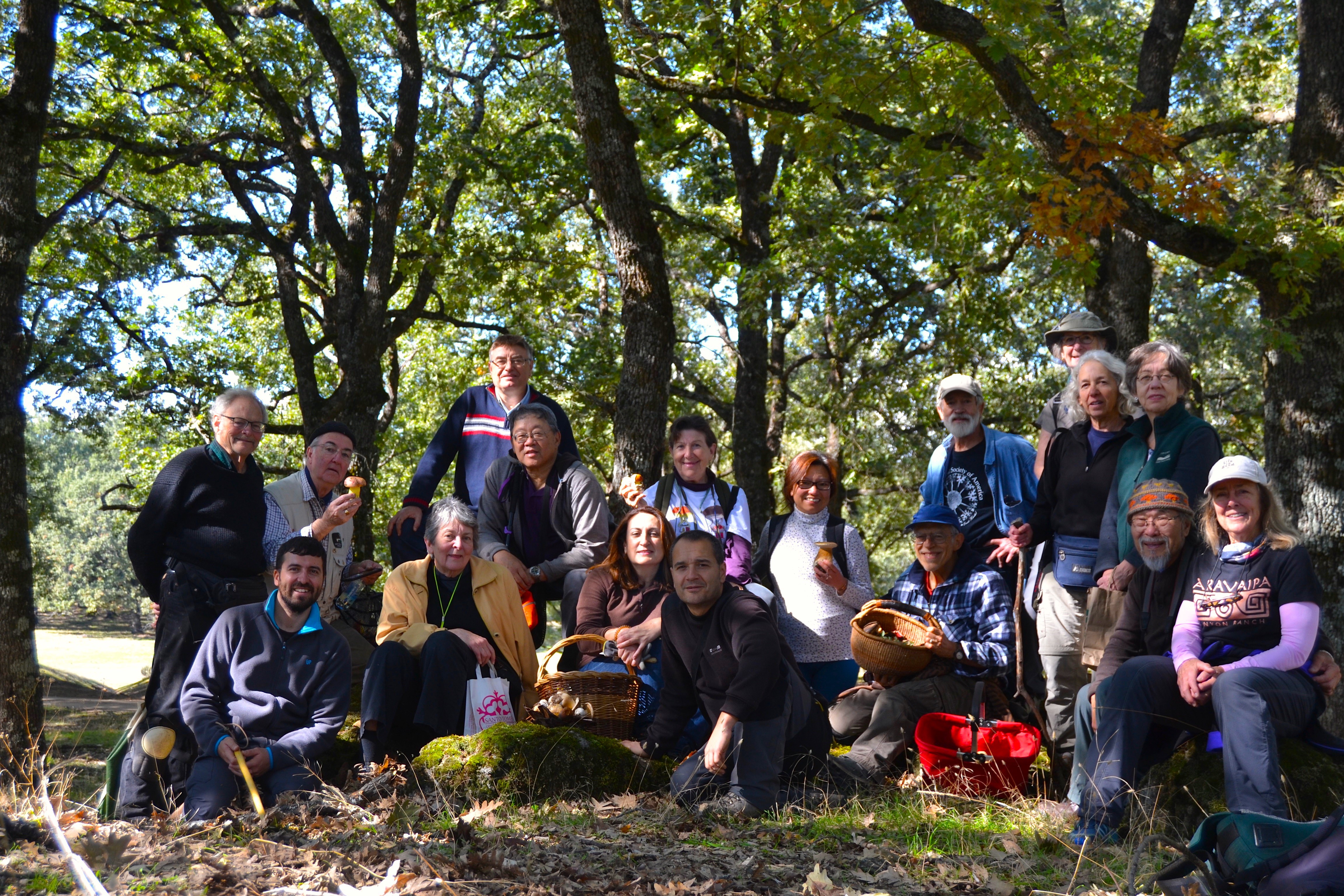 International mushroom hunters