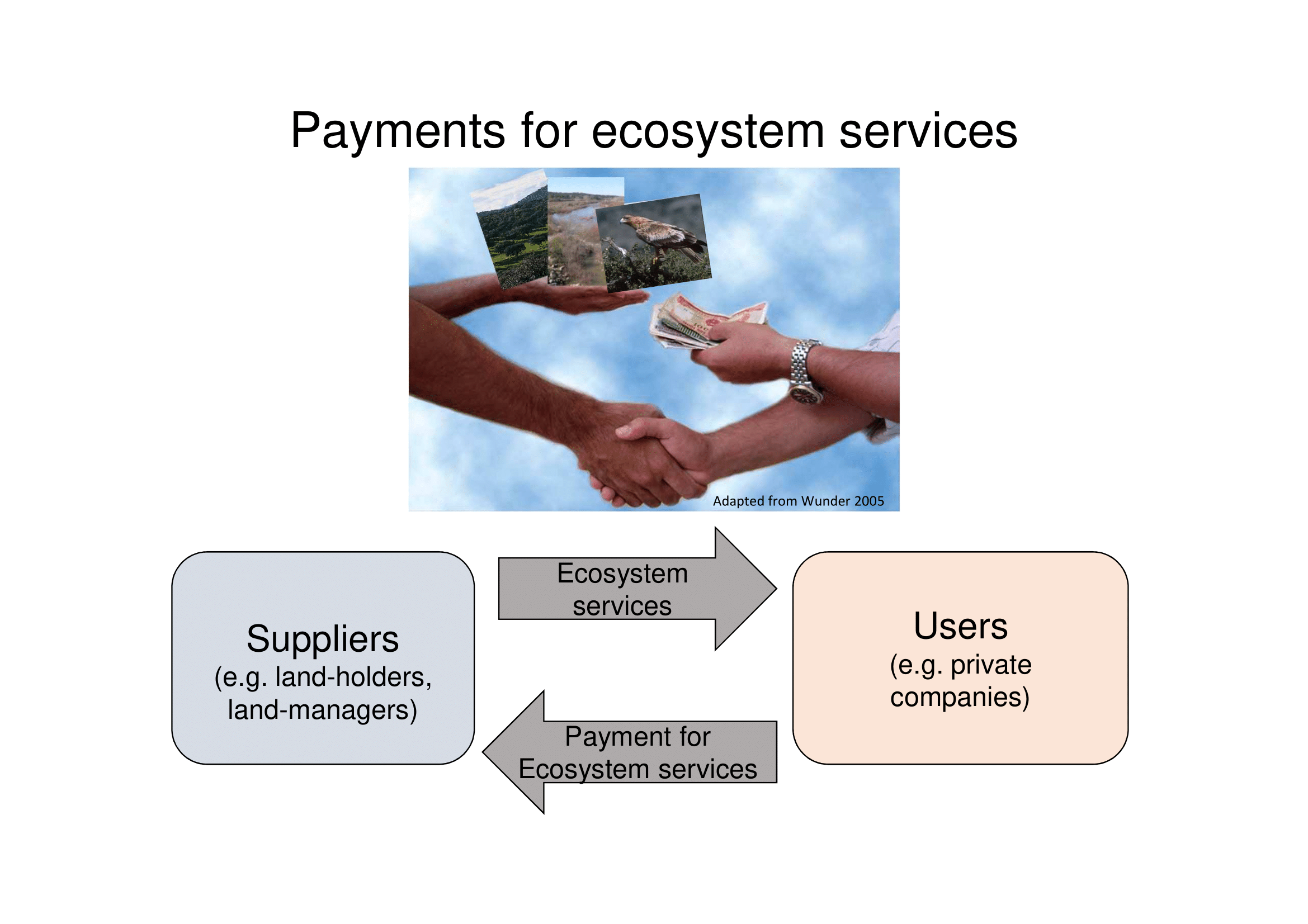 fsc-certification-granting-access-to-payment-for-ecosystem-services-in