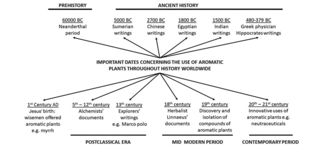 The use of aromatic plants globally over the time