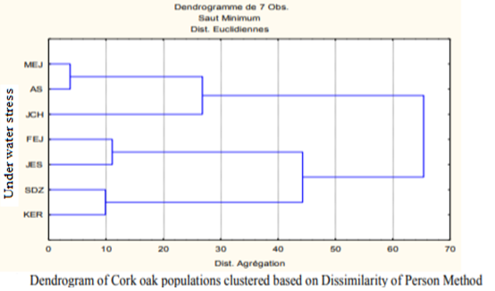 Dendrogram of Cork oak populations clustered based on Dissimilarity of Person Method (Aggregation)
