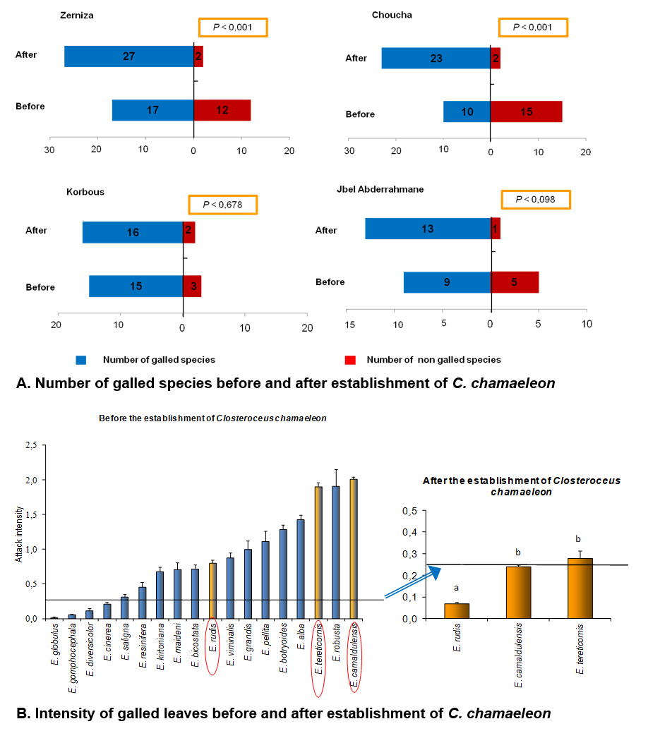 Number and intensity of galled species before and after establishment of C. chamaeleon     