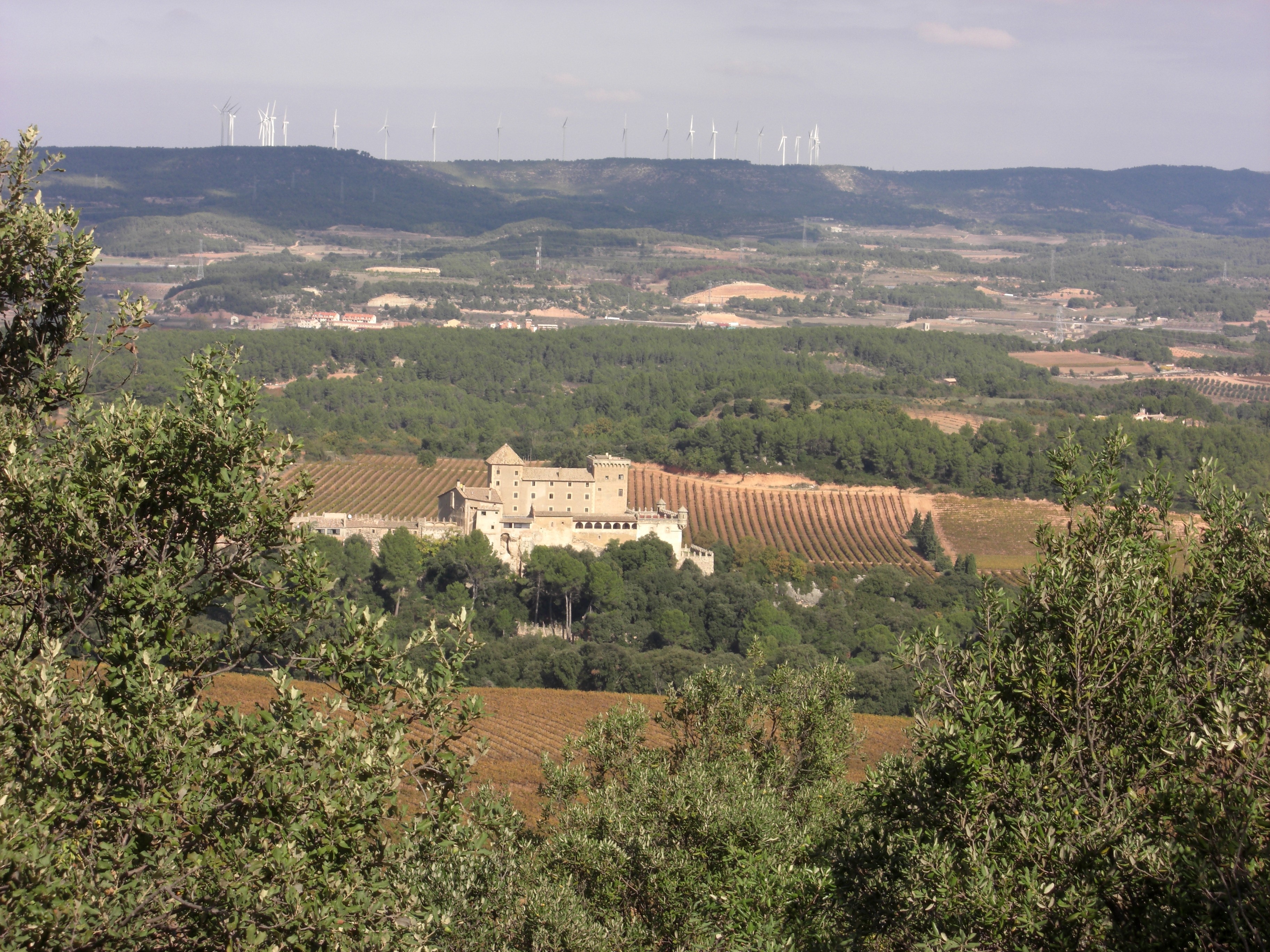 Juan Martínez de Aragón
