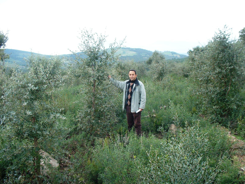 Abdelhamid Khaldi
