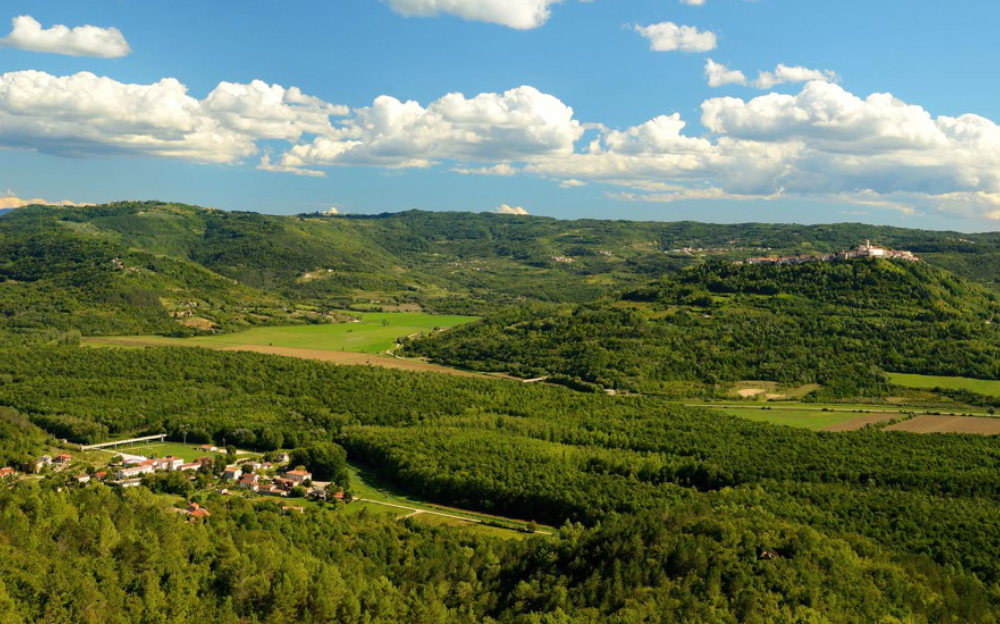 Motovun forest landscape
