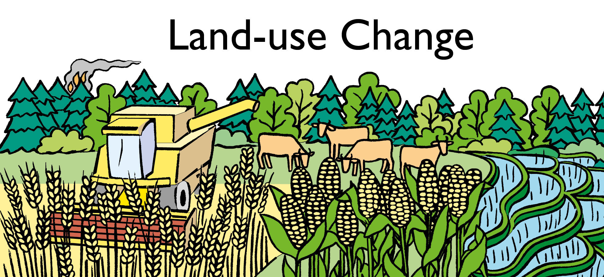 land use change research
