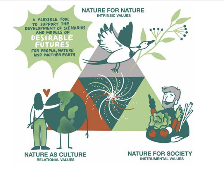 nature for intrinsic values pyramid