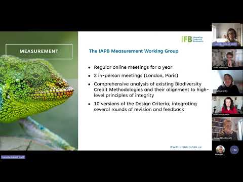 IAPB’s Framework for High Integrity Biodiversity Credits | Oppla