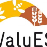GIZ ValuES Project