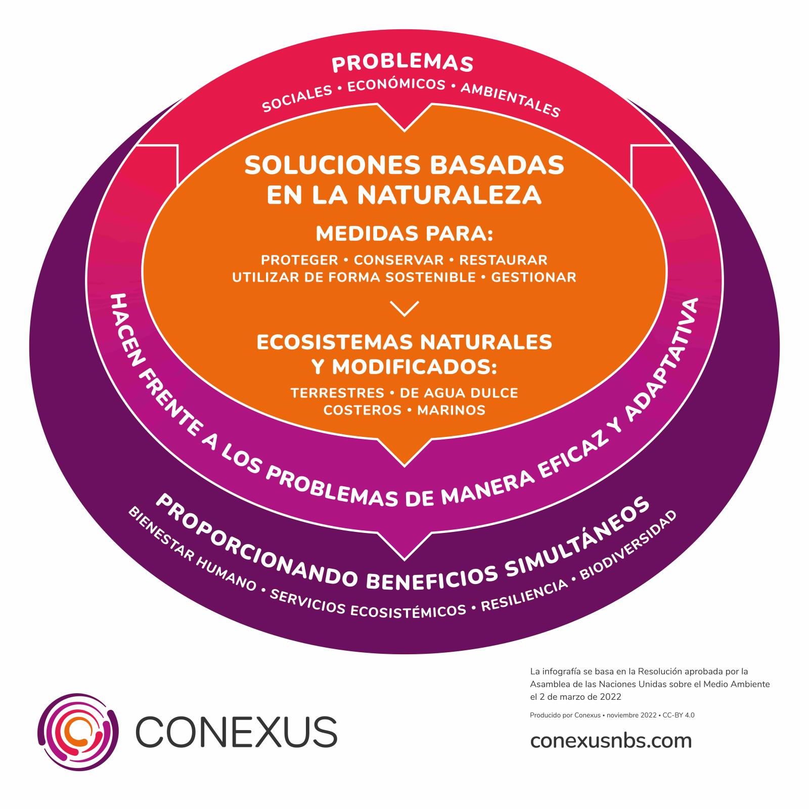 NBS infographic (ES)