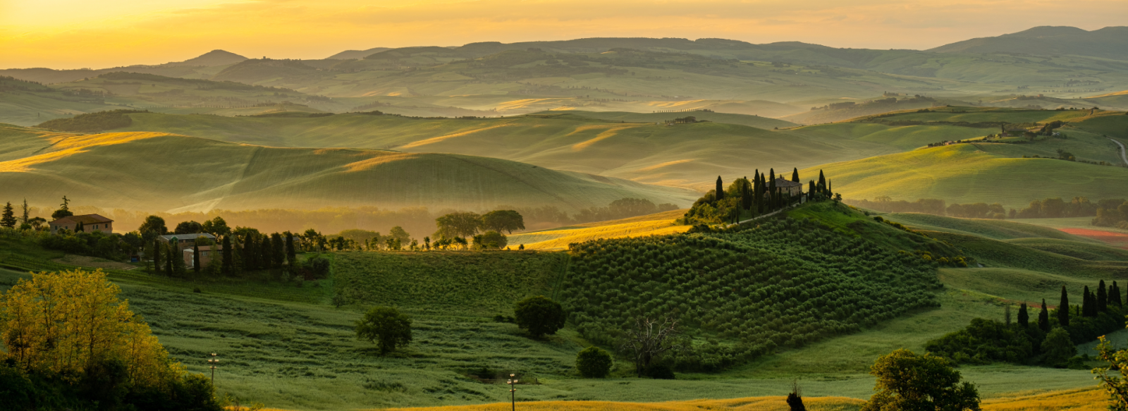 Fields in Italy