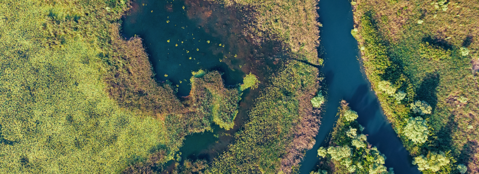 River running through a field