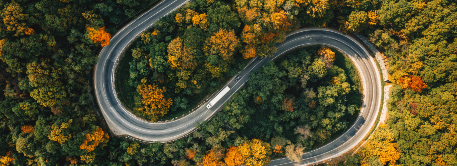 Aerial view of a road in a colourful forest