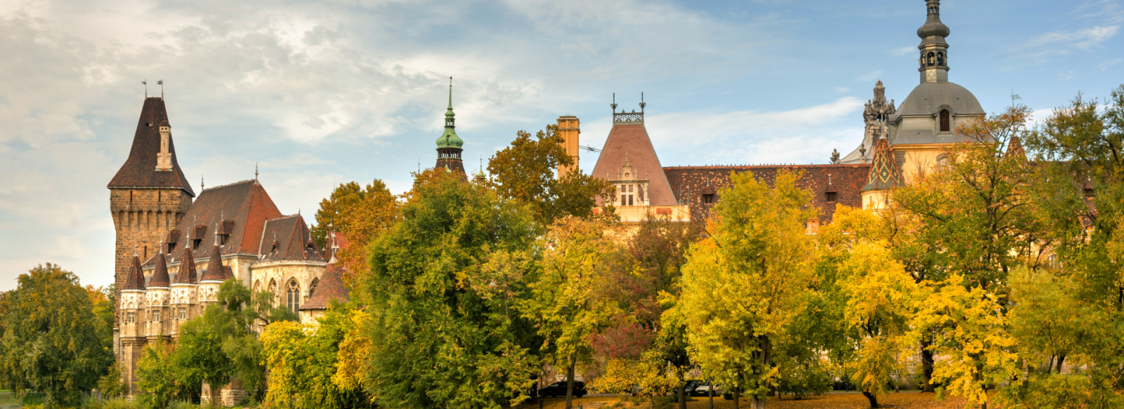 Trees in Budapest