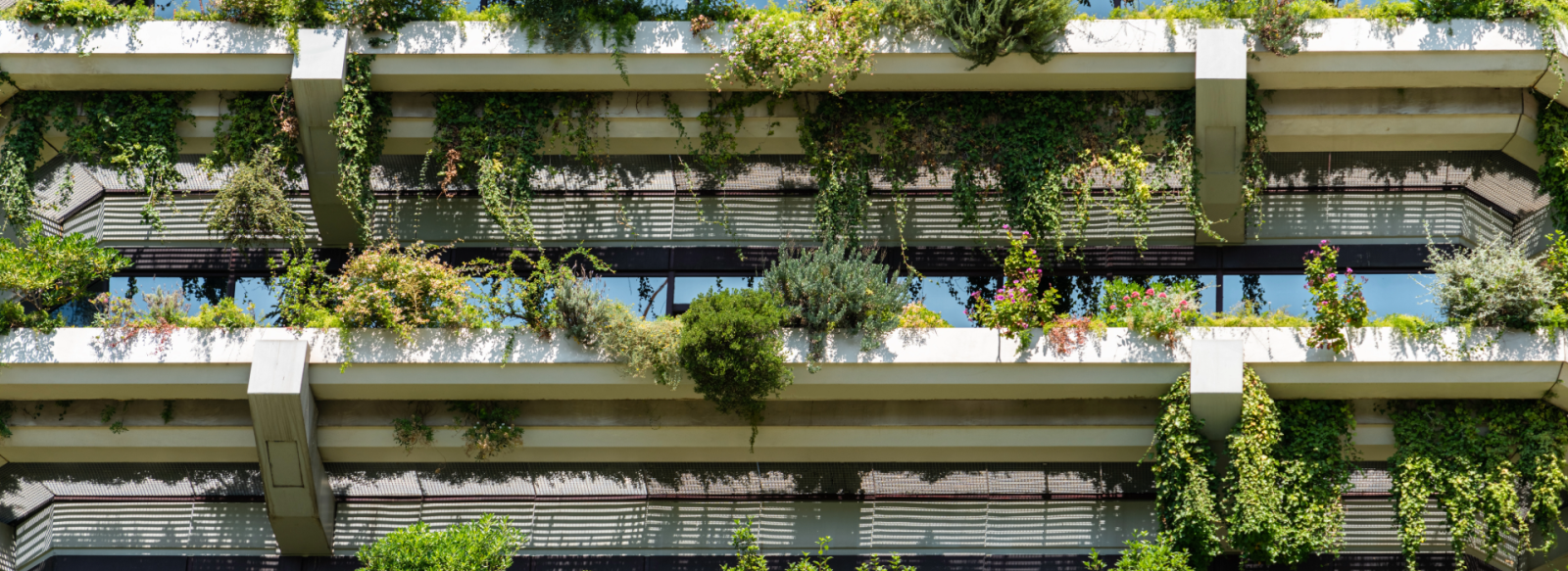 Balconies with plants and trees