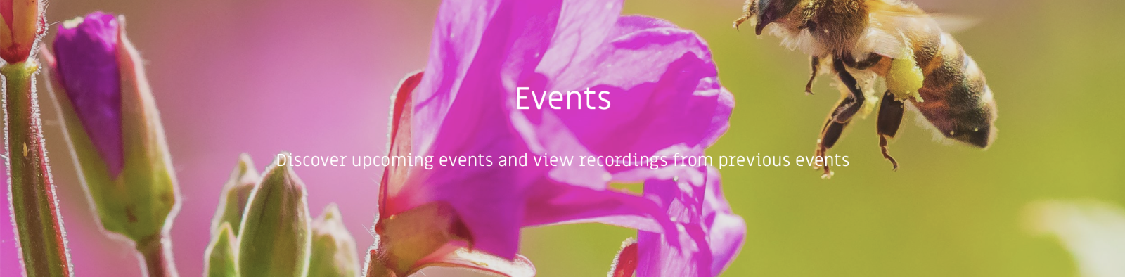 CircHive events