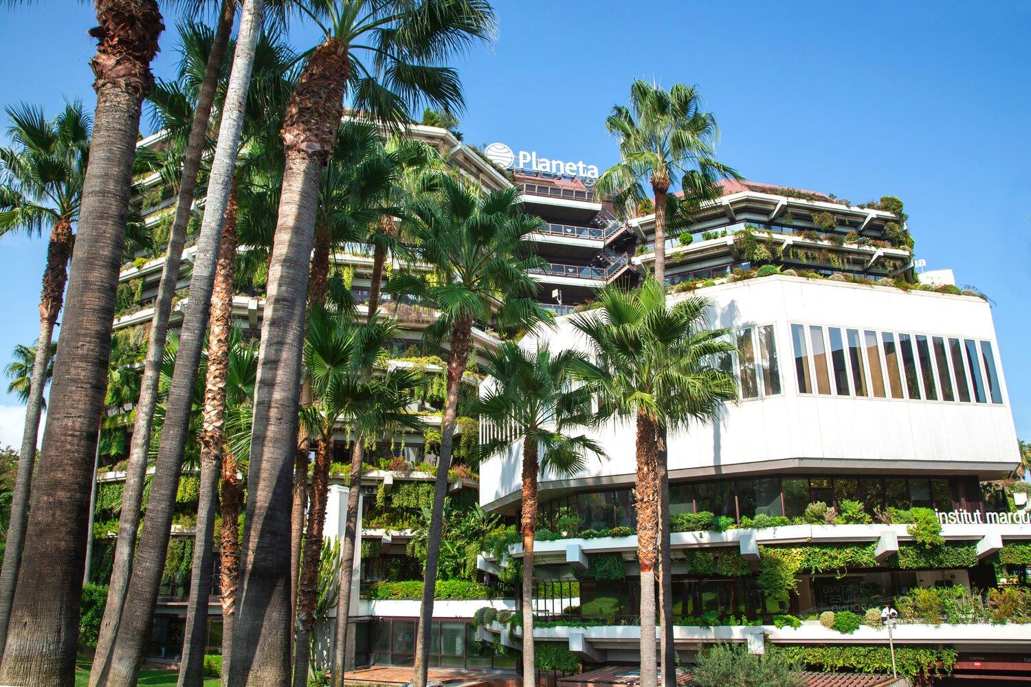 tress-in-front-of-building-blue-sky