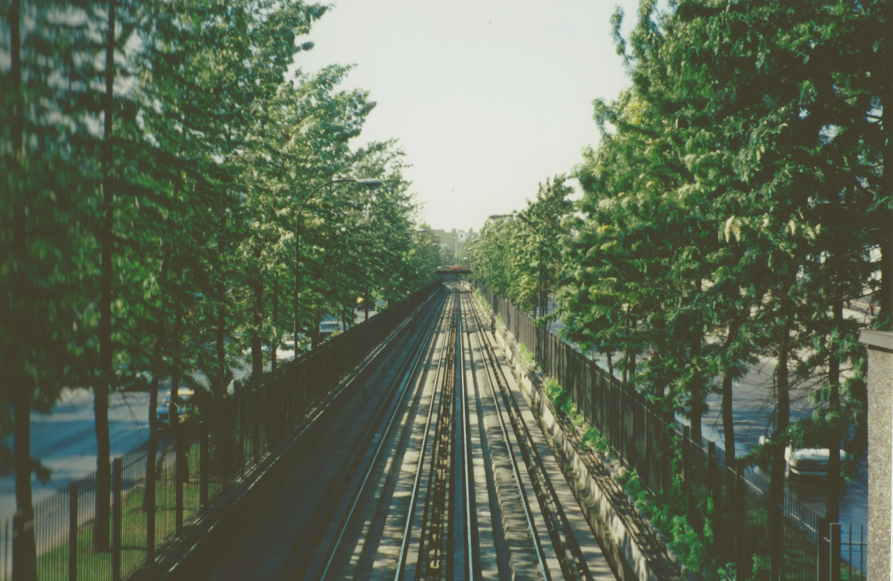 Urban trees