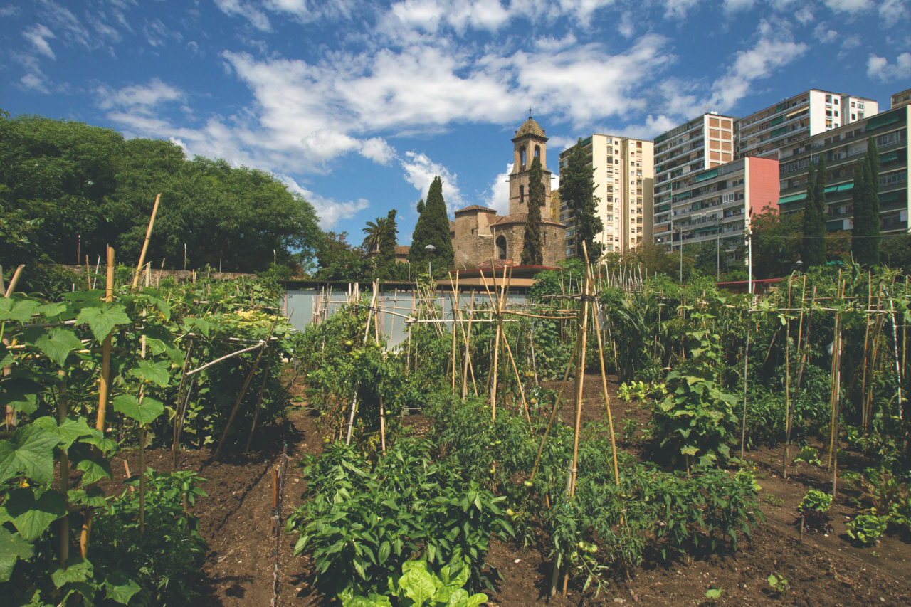 Urban Agriculture Observatory: Social and Ecosystem services