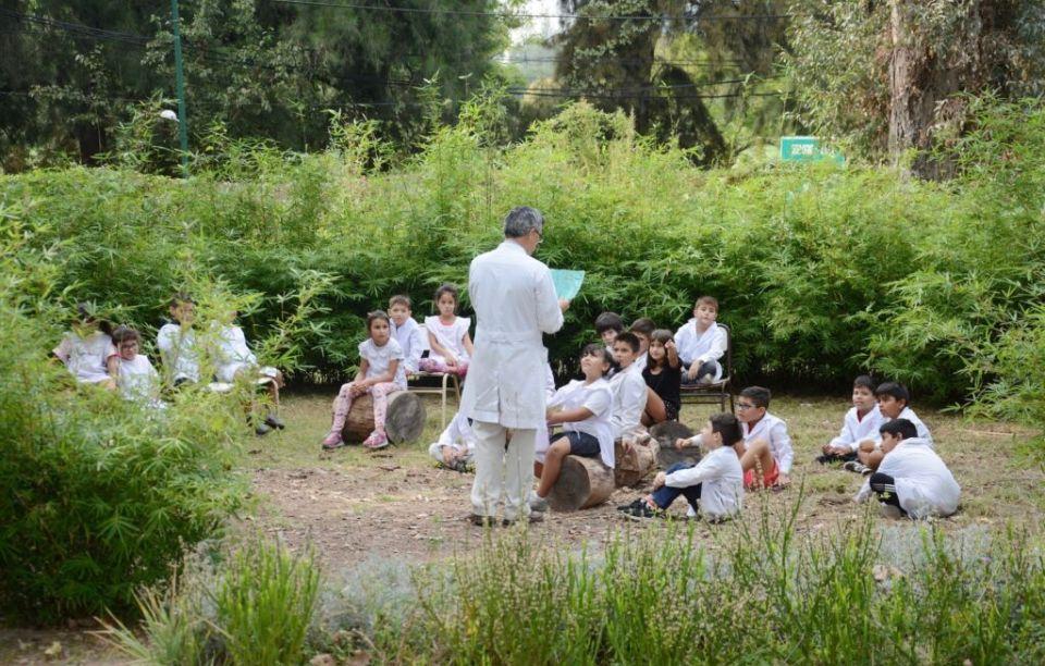 Outdoor learning - teacher and children