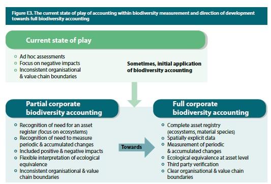Current state of play of accounting within biodiversity measurement