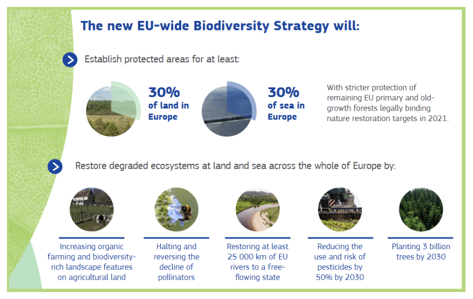 The new EU-wide Biodiversity Strategy