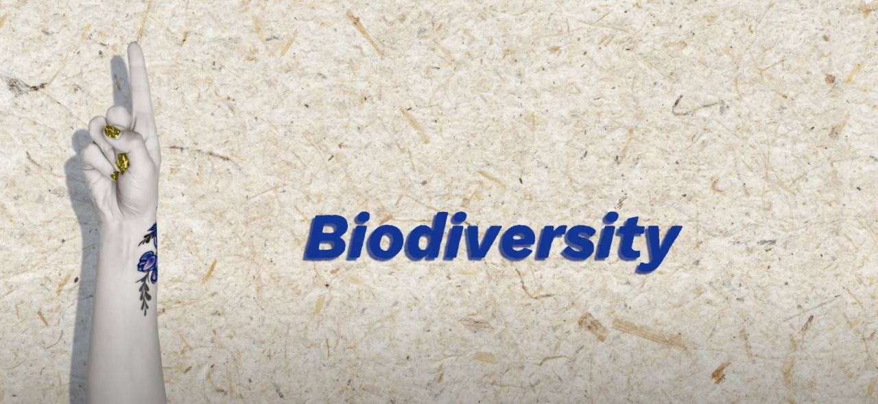 What are nature based solutions? Biodiversity