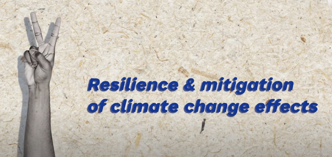 What are nature based solutions? Resilience & mitigation of climate change effects