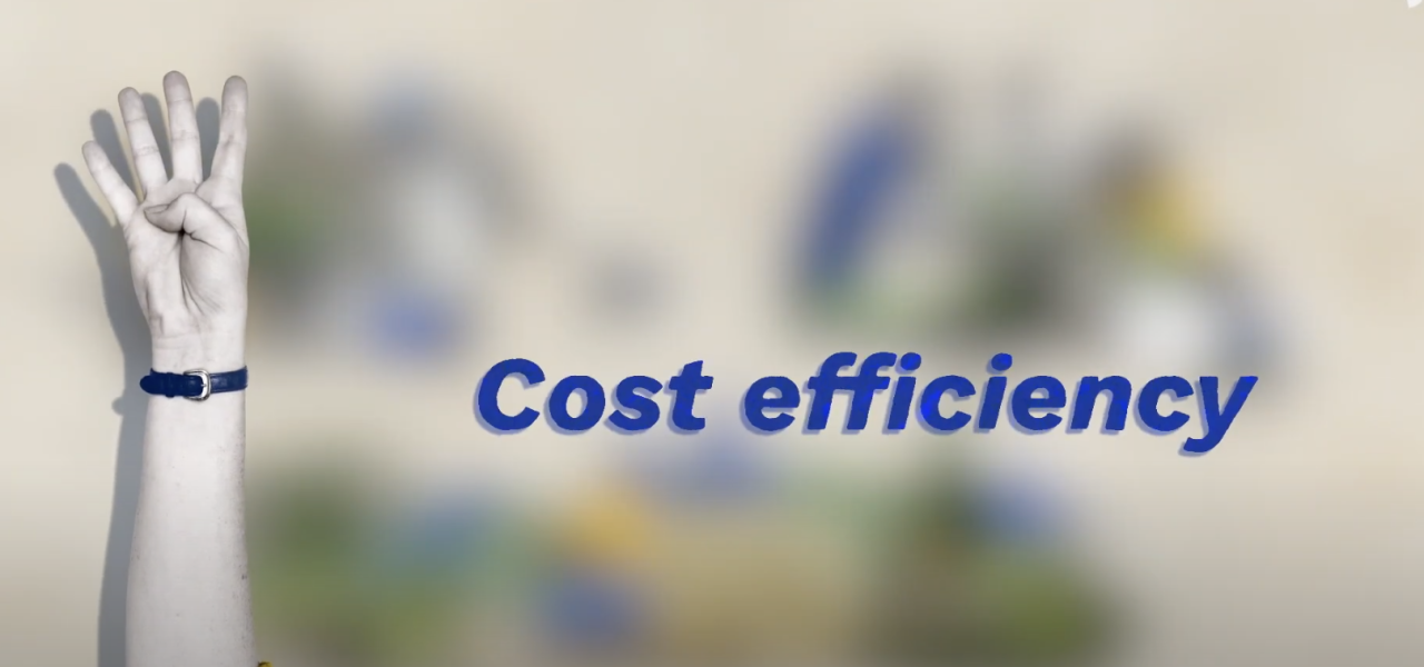What are nature based solutions? cost efficiency