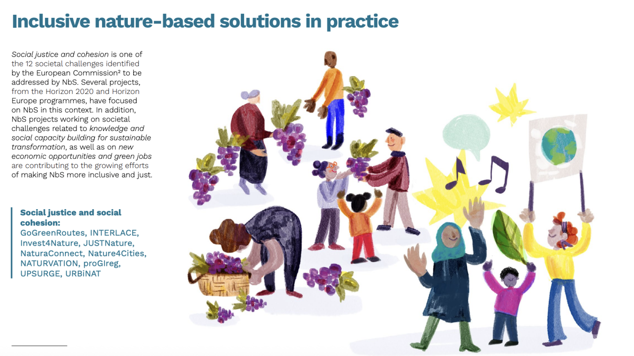 inclusive nature-based solutions in practice