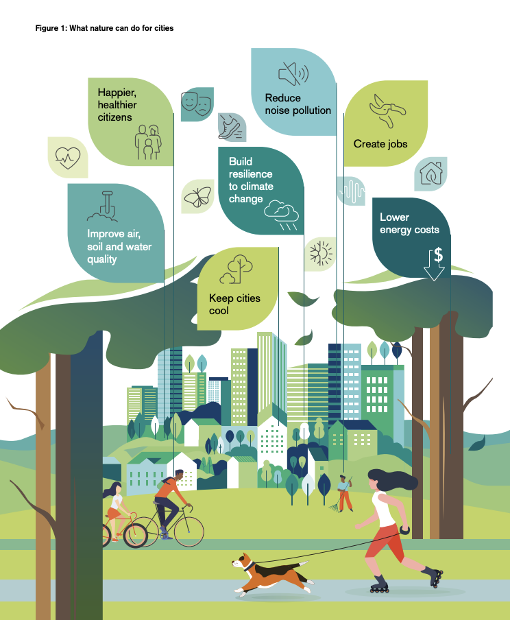 What we can do in cities