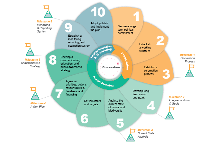 Urban greening plan 10 steps infographic