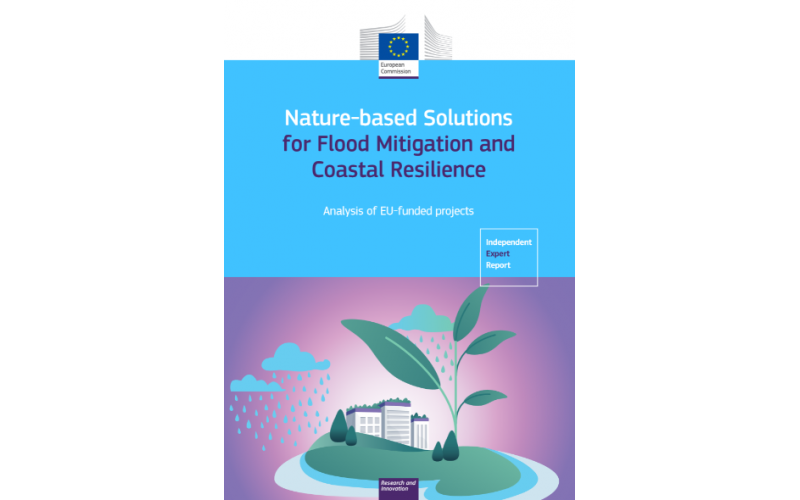 Nature-based Solutions For Flood Mitigation And Coastal Resilience ...