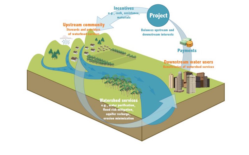 Understanding Payments for Ecosystem Services: Strategies for a Sustainable Future