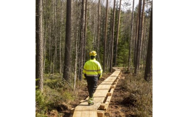 Person walking on wooden pathway in a forest
