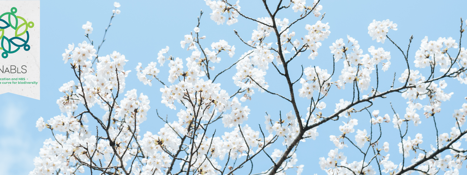 eNaBLS banner