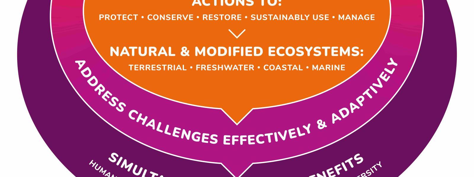 Nature based solutions infographic