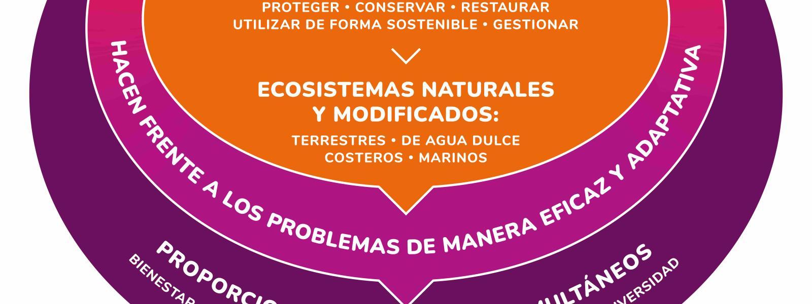 NBS infographic (ES)