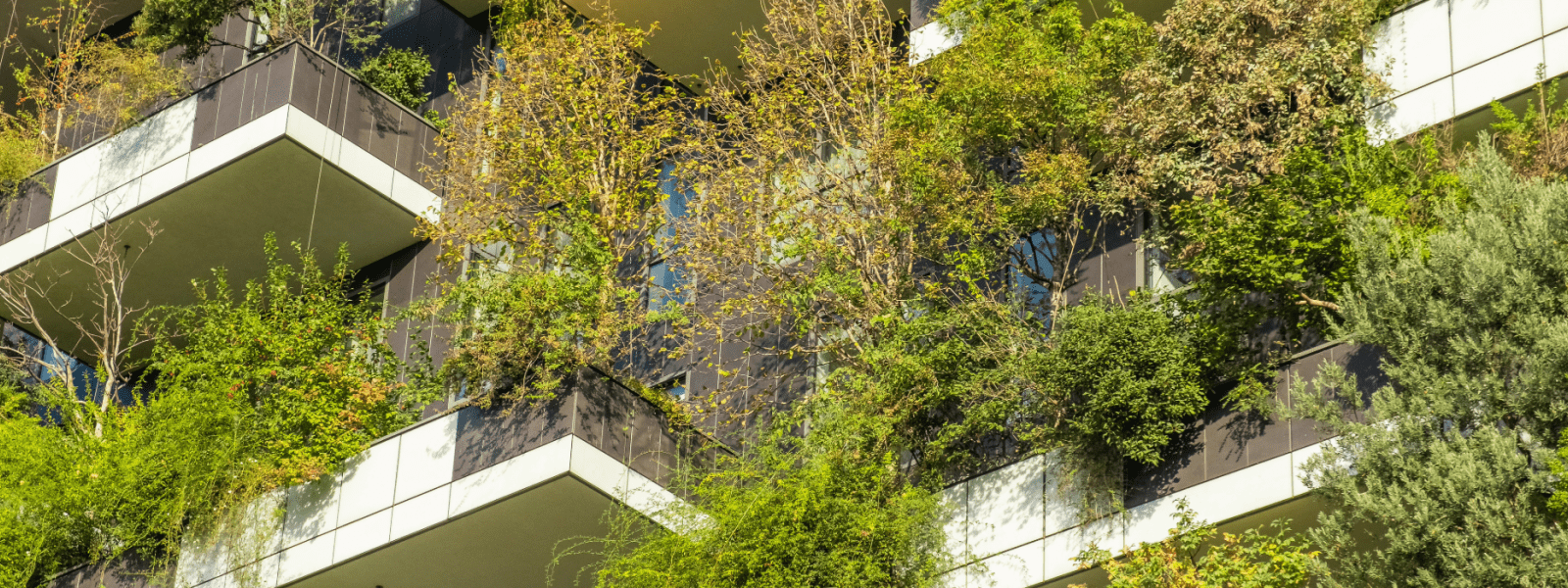 Balconies with plants