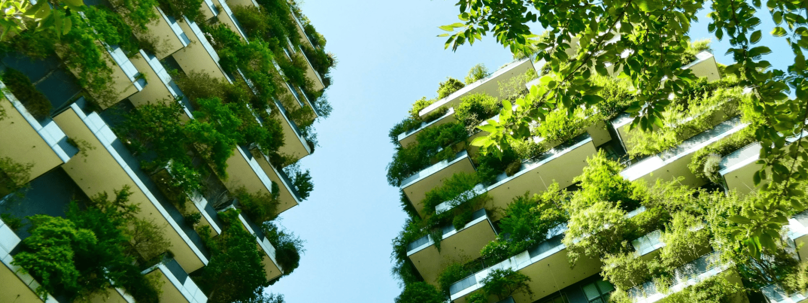 Highrise buildings with green walls