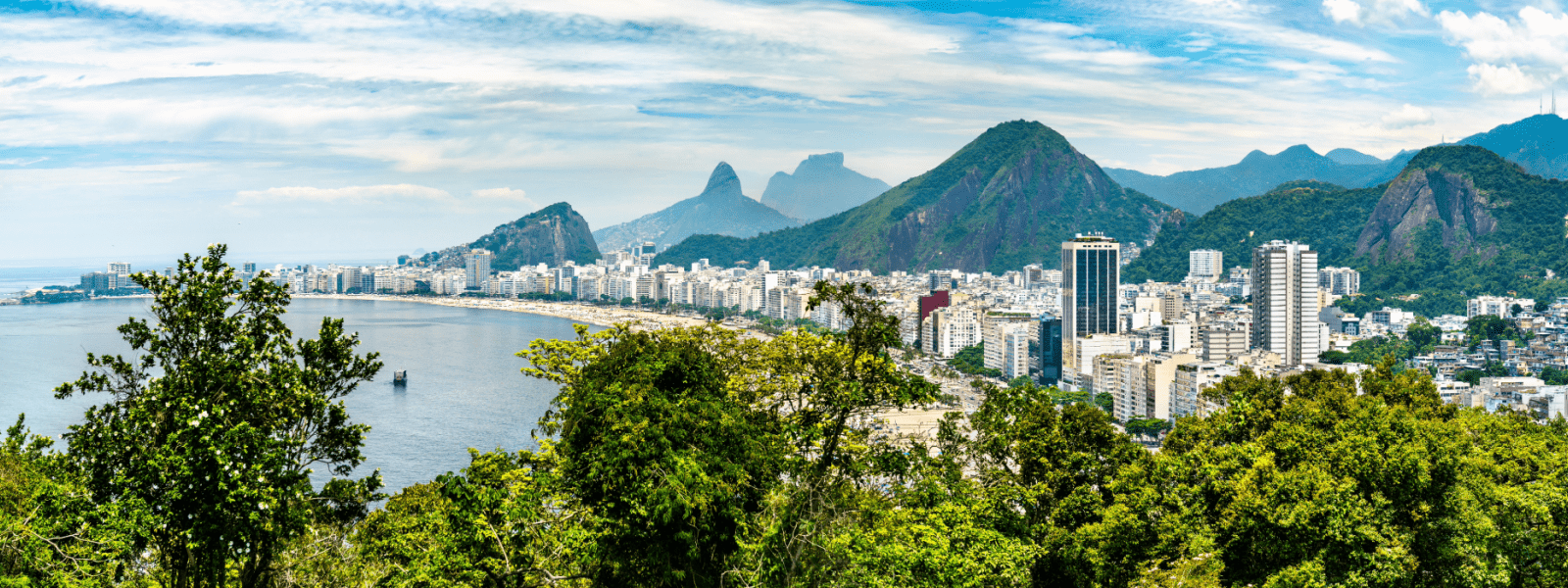 Rio de janeiro nature