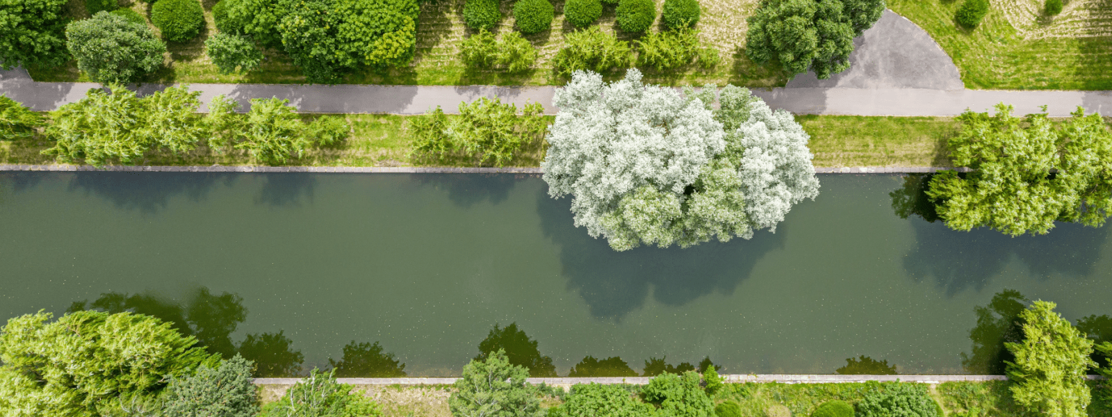 River in a city park