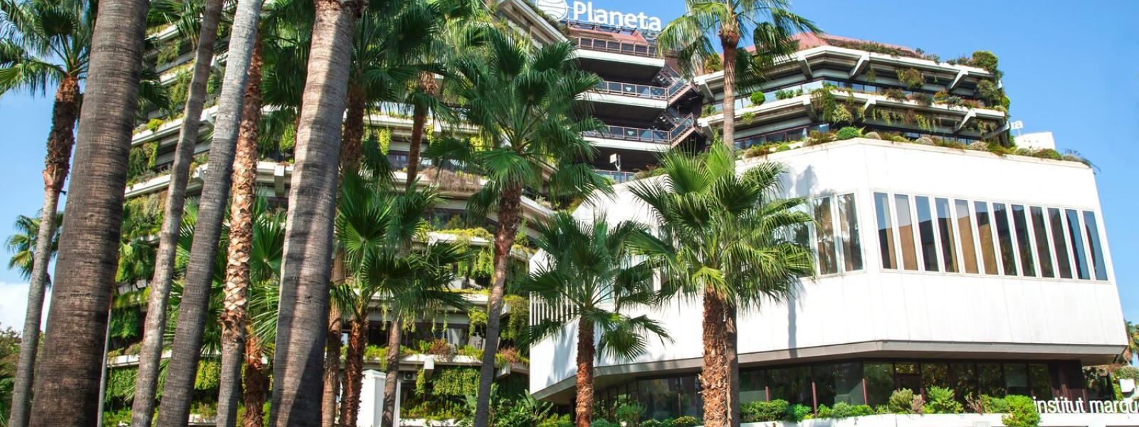 tress-in-front-of-building-blue-sky