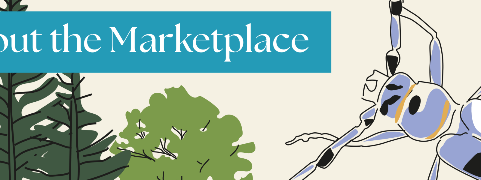 Graphical banner saying "About the Marketplace"