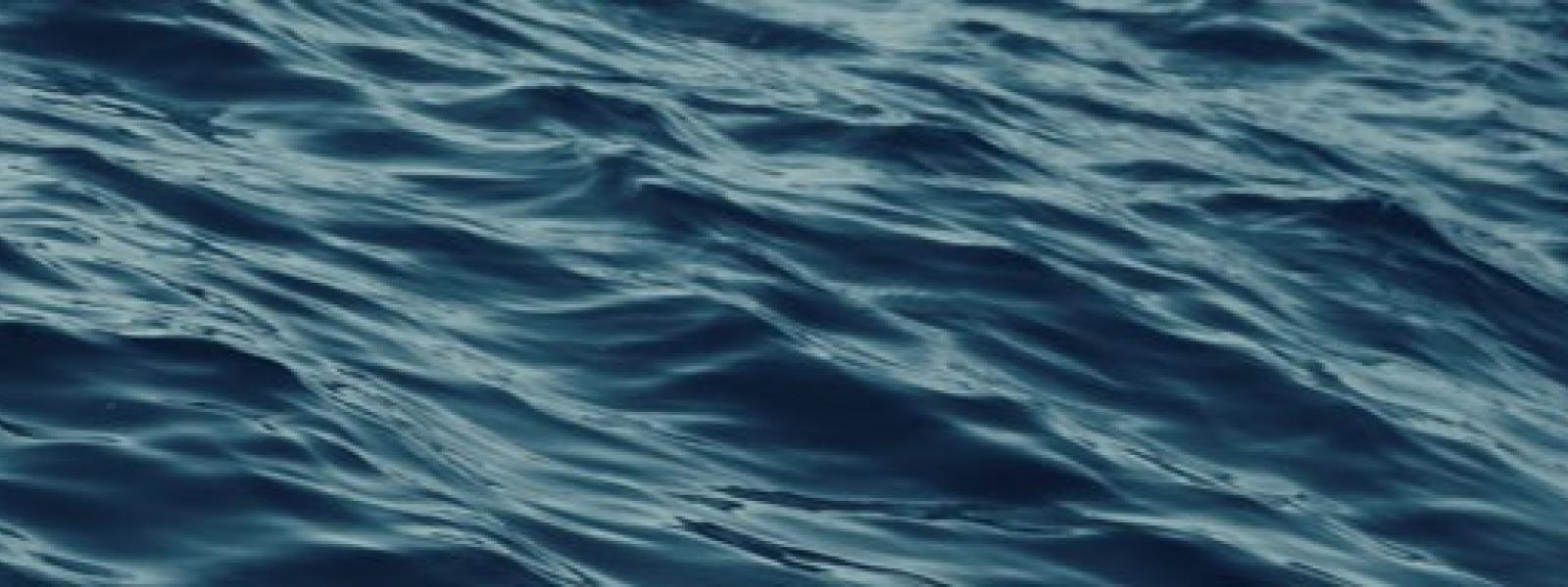 sea water with fish outline on the right hand side underlined with two wavy lines, all in white