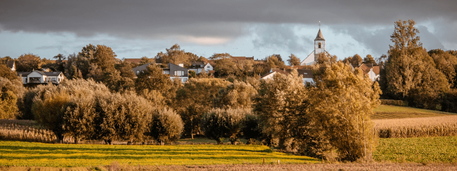 MOSAIC Landscape - field, trees and a building in the background